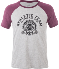 Футболка мужская Demix