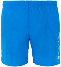 Плавательные шорты мужские Speedo