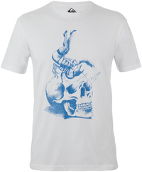 Футболка мужская Quiksilver