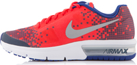 Кроссовки для мальчиков Nike Air Max Sequent Print (GS)