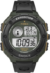 Timex T49982