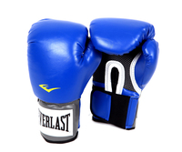 Перчатки тренировочные Everlast PU Pro Style