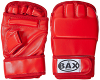 Шингарты Bax