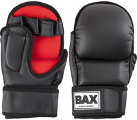 Шингарты Bax