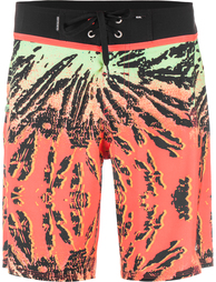Шорты пляжные мужские Quiksilver