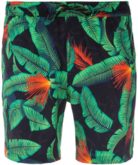 Шорты пляжные мужские Quiksilver