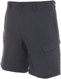 Шорты мужские The North Face Horizon Cargo