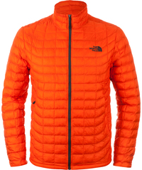 Куртка мужская The North Face Thermoball