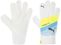Перчатки вратарские Puma evoPower