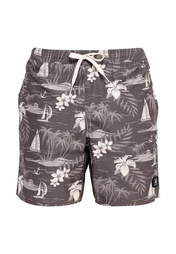 Шорты DC Shoes