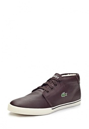 Кеды Lacoste