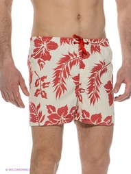 Шорты Quiksilver