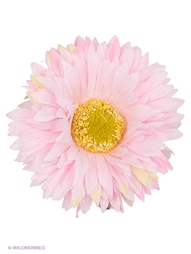 Заколки Kameo-bis