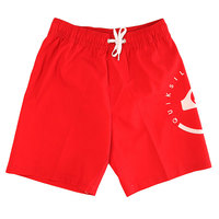 Шорты пляжные детские Quiksilver Eclipse Vl Y 17 Eclipse Volley Quik