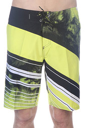 Шорты пляжные Quiksilver Spaceintersect Bdsh Sulp