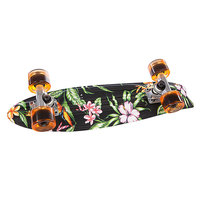 Скейт мини круизер Globe Bantam Graphic St Paradise 23 (58 см)