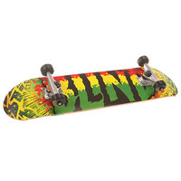 Скейтборд в сборе Blind S6 Groovy Ful Rasta 31 x 7.625 (19.3 см)