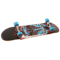 Скейтборд в сборе детский Darkstar S6 Python Youth Soft Wheel Mid Blue 29 x 7.25 (18.4 см)