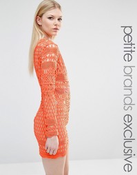 Кружевное платье мини с длинными рукавами True Decadence Petite