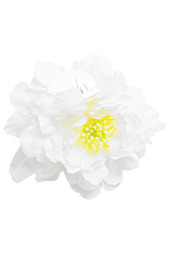 Заколка Asavi Jewel