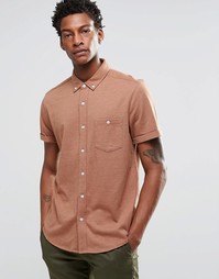 Верблюжья трикотажная классическая рубашка с короткими рукавами ASOS