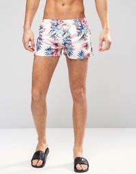 Короткие шорты для плавания Oiler &amp; Boiler Tuckernuck Paradise