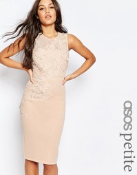 Платье-футляр миди с цветочной отделкой ASOS PETITE - Телесный