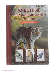 Книги Издательство Тимошка