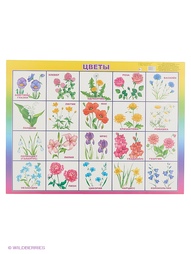 Книги Издательство Алфея