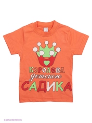 Футболка Bonito kids