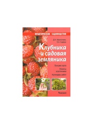 Книги Издательство Фитон XXI