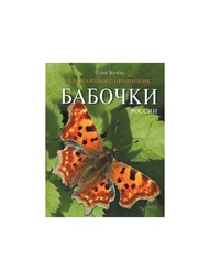 Книги Издательство Фитон XXI