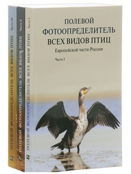 Книги Издательство Фитон XXI