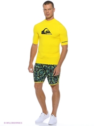 Шорты Quiksilver