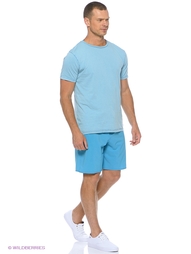 Шорты Quiksilver