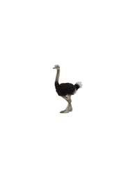 Фигурки-игрушки Collecta