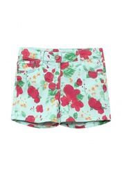 Шорты U.S. Polo Assn.