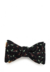 Бабочка Baboon