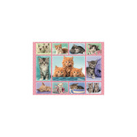 Пазл «Забавные котята», 100 деталей, Ravensburger