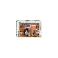 Пазл "Котята", 560 деталей, Step Puzzle