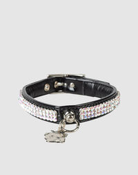 Ошейник PET Follie