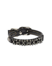 Ошейник DVS DOG VIP Star