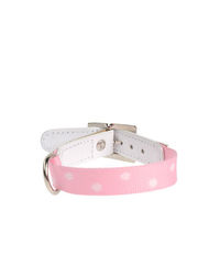 Ошейник DVS DOG VIP Star