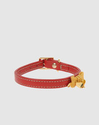 Ошейник DVS DOG VIP Star