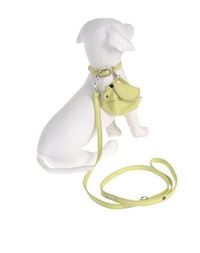 Набор Поводок/Ошейник DVS DOG VIP Star