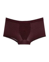 Боксеры Dolce &; Gabbana Underwear