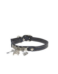 Ошейник DVS DOG VIP Star