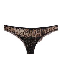 Трусы Roberto Cavalli Underwear