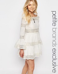 Короткое приталенное платье с кружевными вставками White Cove Petite