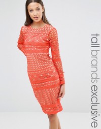 True Decadence Tall Long Sleeve All Over Lace Midi Dress